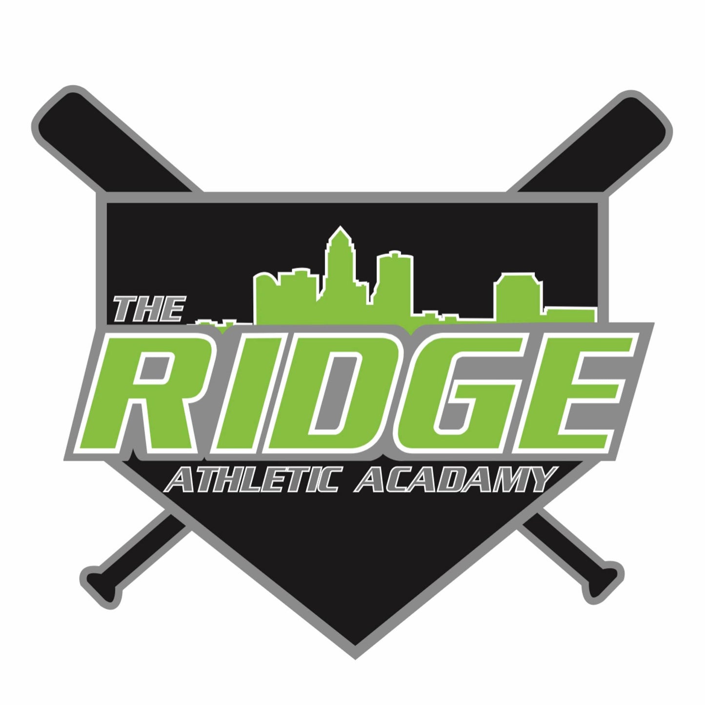 60 Minute Hitting Lesson - Des Moines (The Ridge)